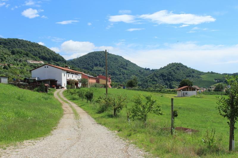 Agriturismo Mazzeracca 巴萨诺－德尔格拉帕 外观 照片