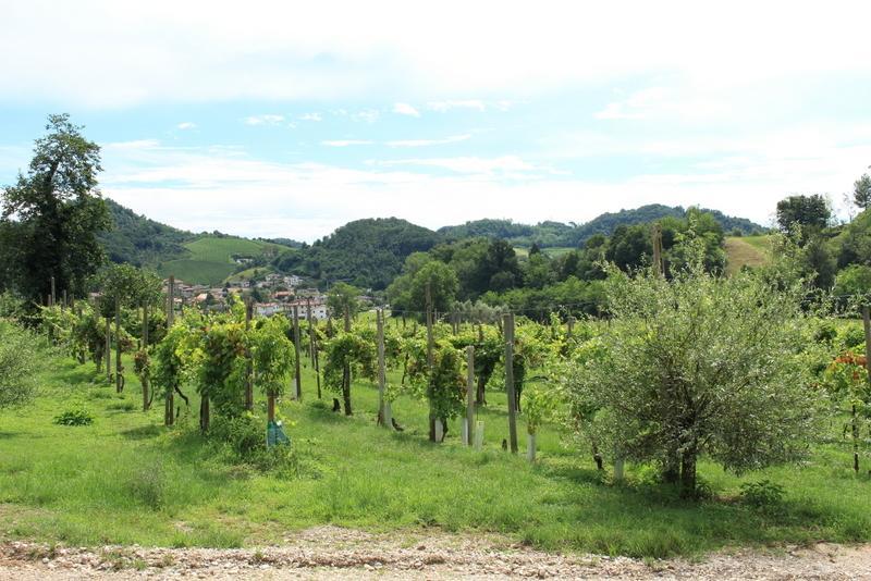 Agriturismo Mazzeracca 巴萨诺－德尔格拉帕 外观 照片