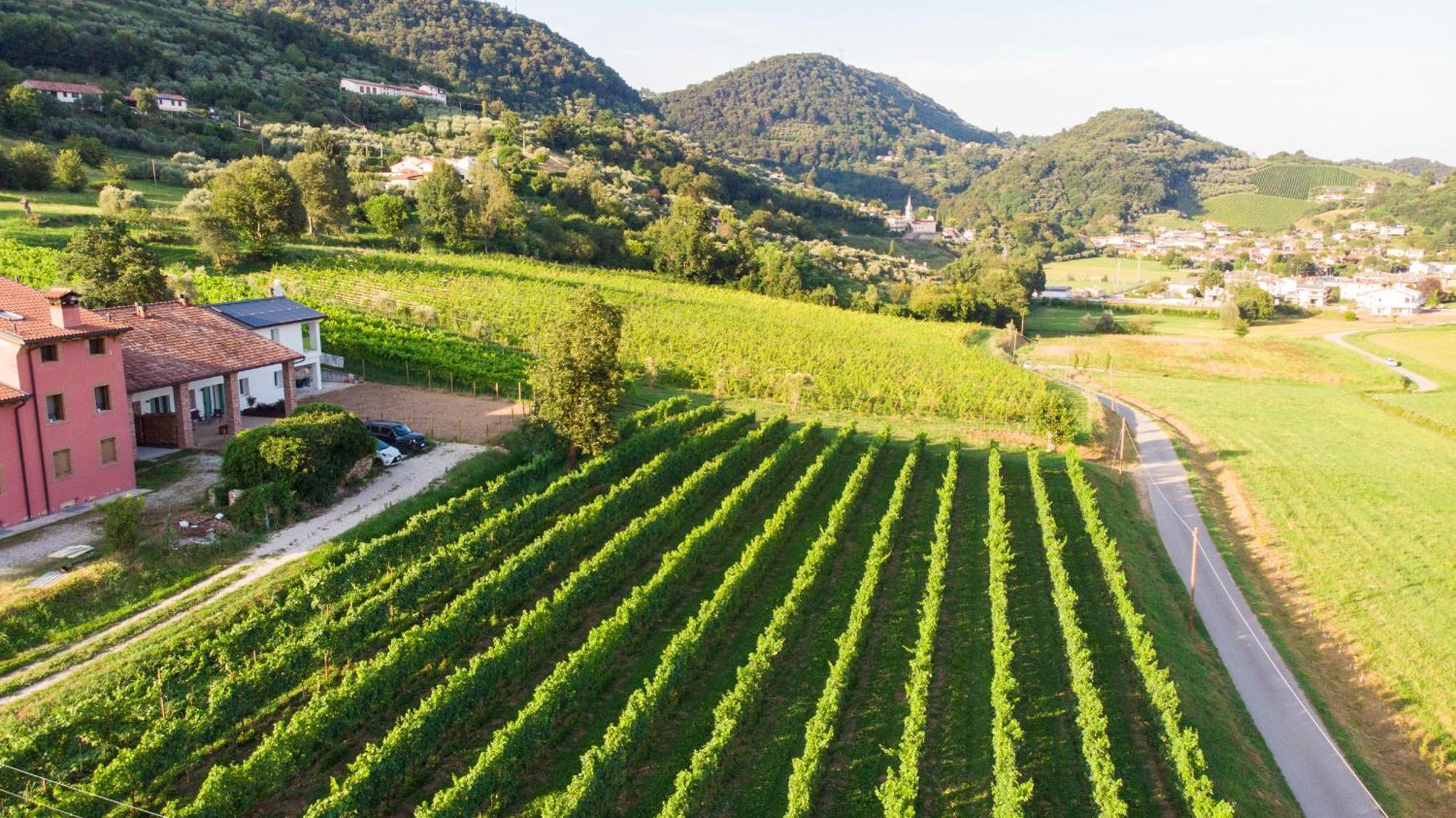 Agriturismo Mazzeracca 巴萨诺－德尔格拉帕 外观 照片